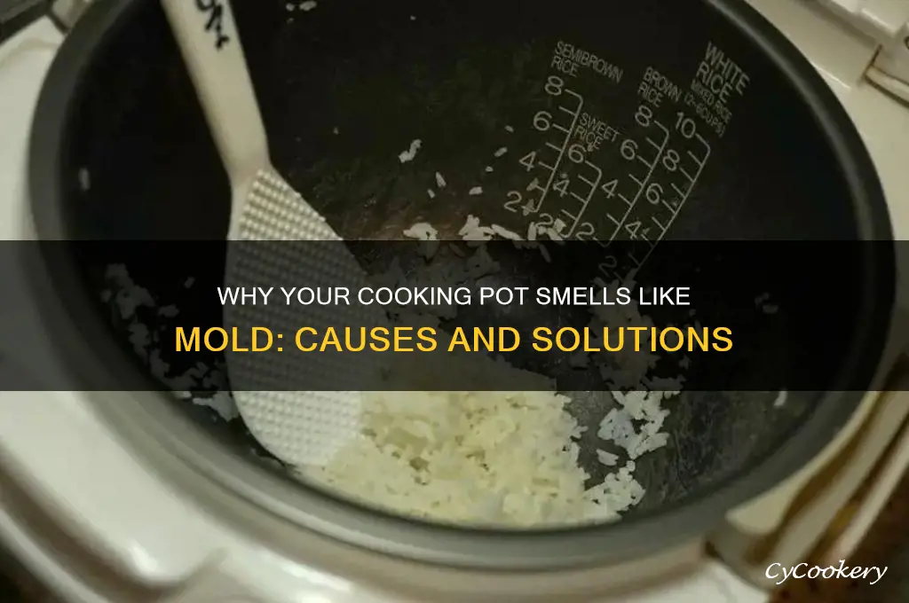 why does my cooking pot smell like mold