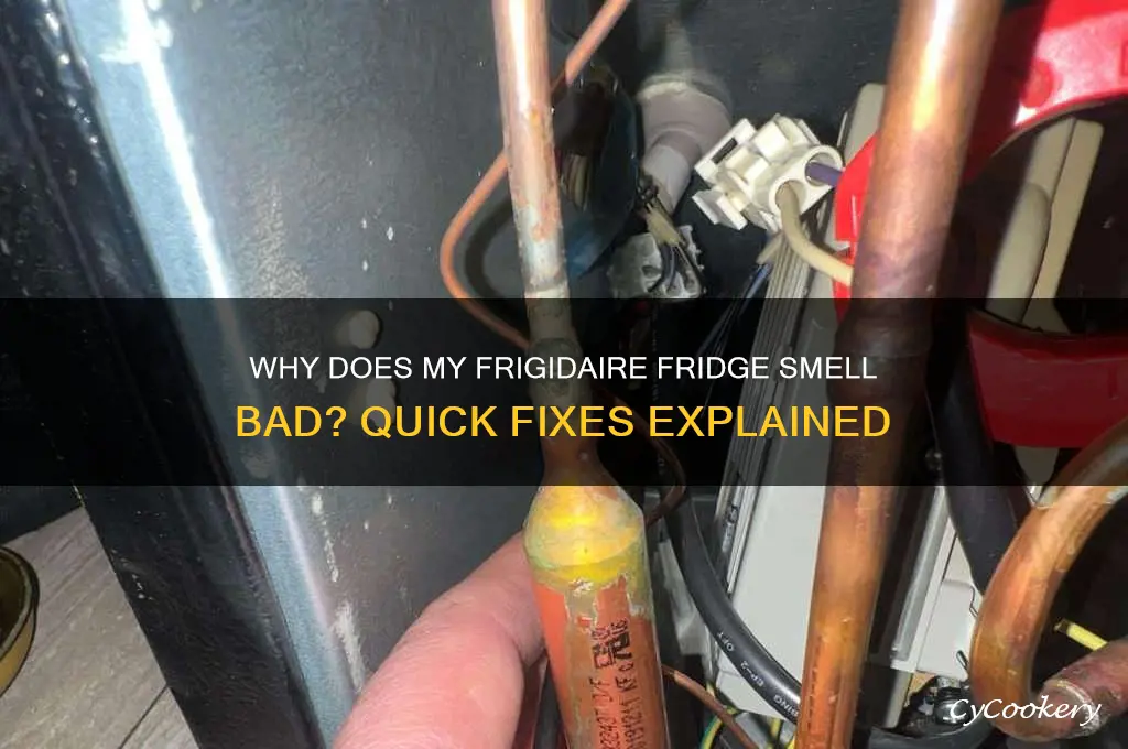 why does my frigidaire refrigerator smell bad