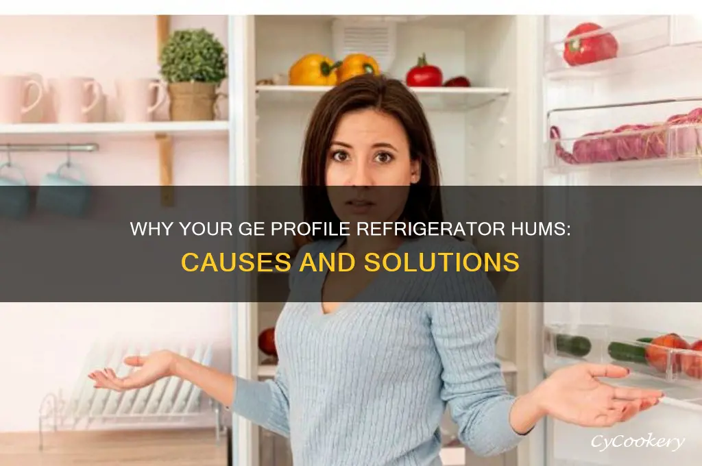 why does my ge profile refrigerator hum