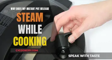 Instant Pot Steam Release: What, Why, and When?