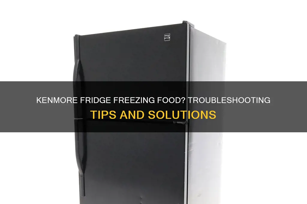 why does my kenmore refrigerator freeze food
