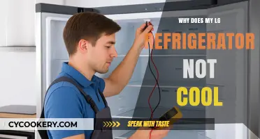 Troubleshooting LG Fridge: Why Isn't My Refrigerator Cooling Properly?