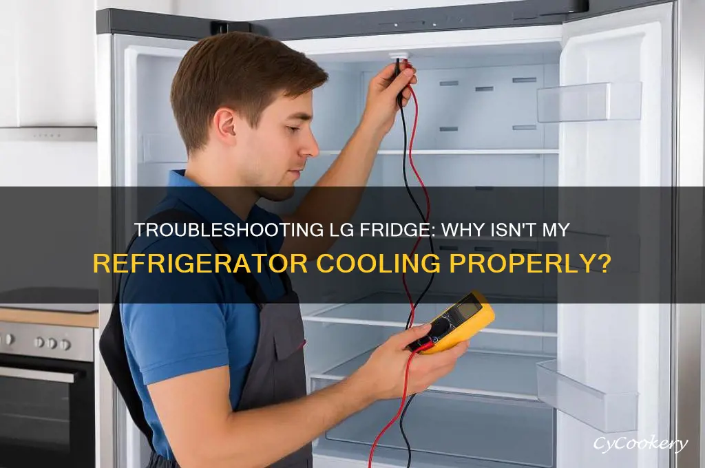 why does my lg refrigerator not cool