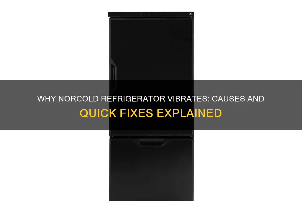 why does my norcold refrigerator start vibràte