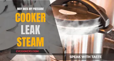 Pressure Cooker Steam Leak: What's the Problem?