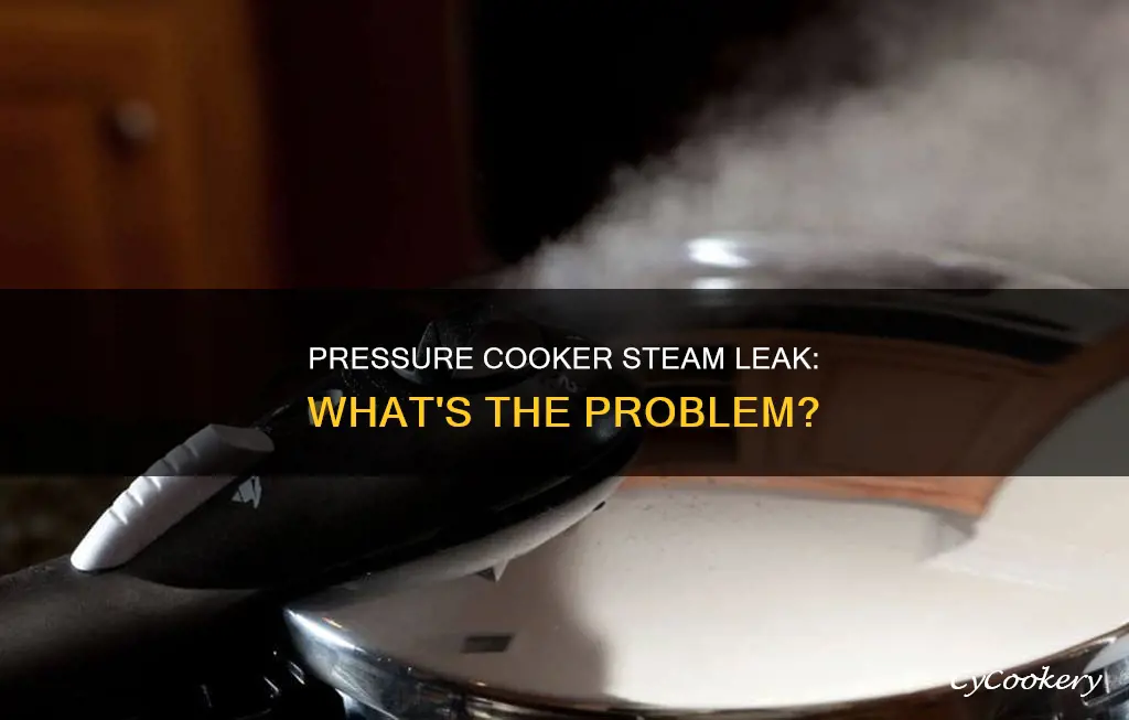 why does my pressure cooker leak steam