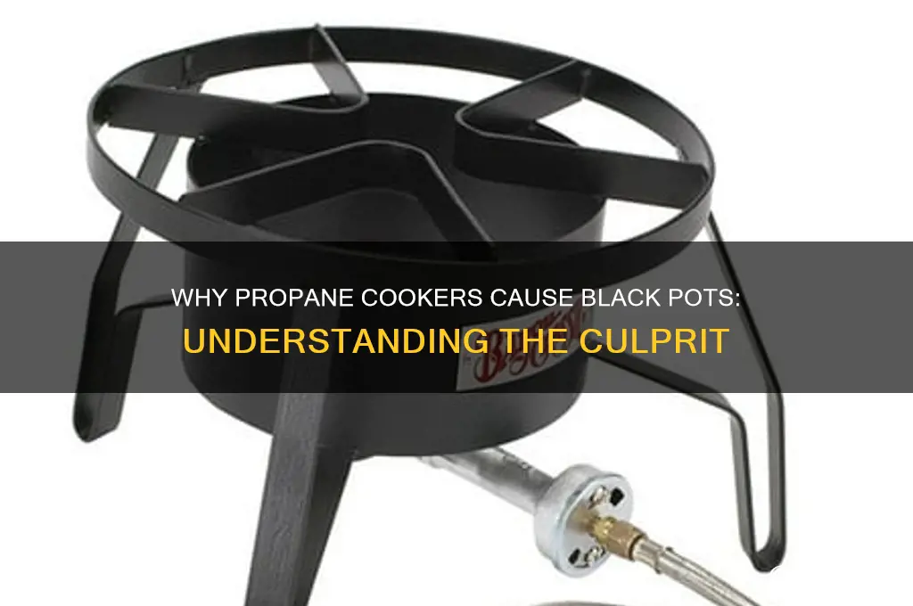 why does my propaone cooker make my pot black