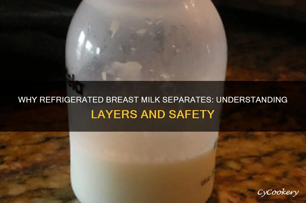 why does my refrigerated breast milk separate