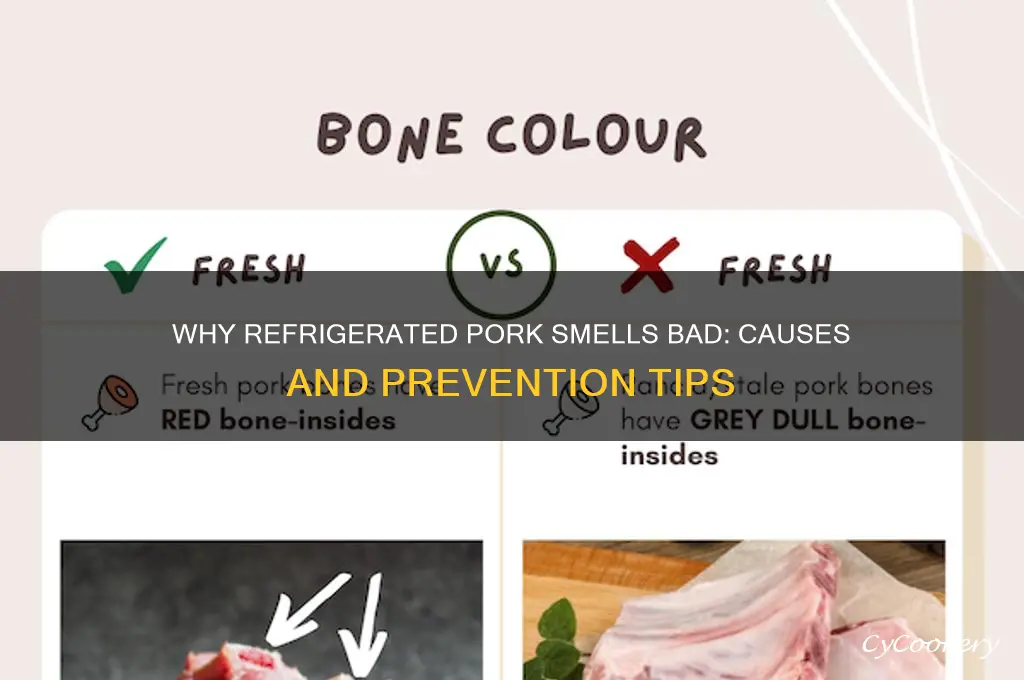 why does my refrigerated pork smell bad
