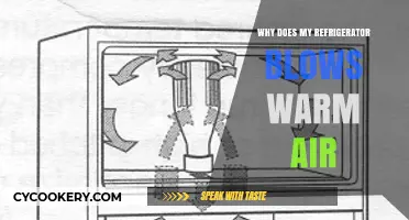 Why Your Refrigerator Blows Warm Air: Common Causes and Fixes