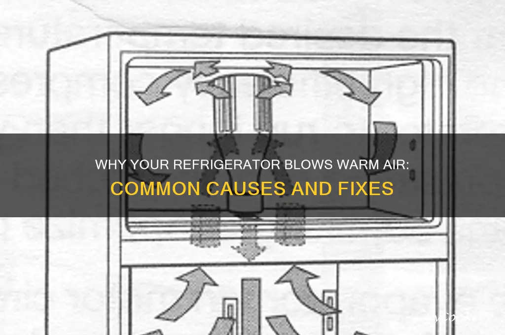 why does my refrigerator blows warm air