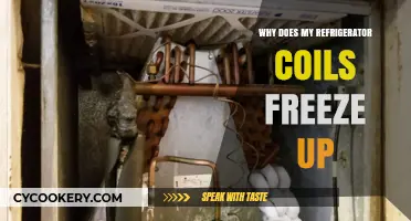 Why Refrigerator Coils Freeze: Causes, Fixes, and Prevention Tips