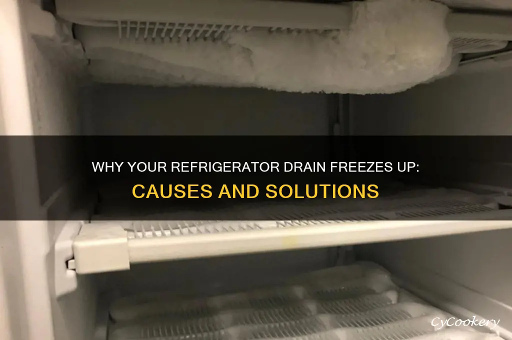 why does my refrigerator drain freeze up