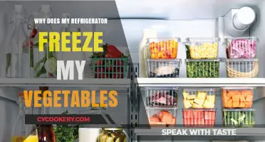 Why Your Fridge Freezes Veggies: Causes and Quick Fixes