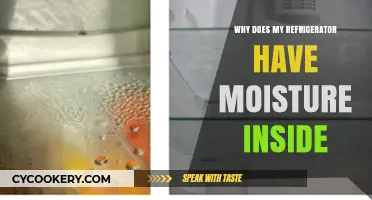 Why Moisture Builds Up Inside Your Refrigerator: Causes and Fixes