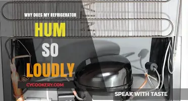 Why Your Refrigerator Hum is So Loud: Causes and Fixes