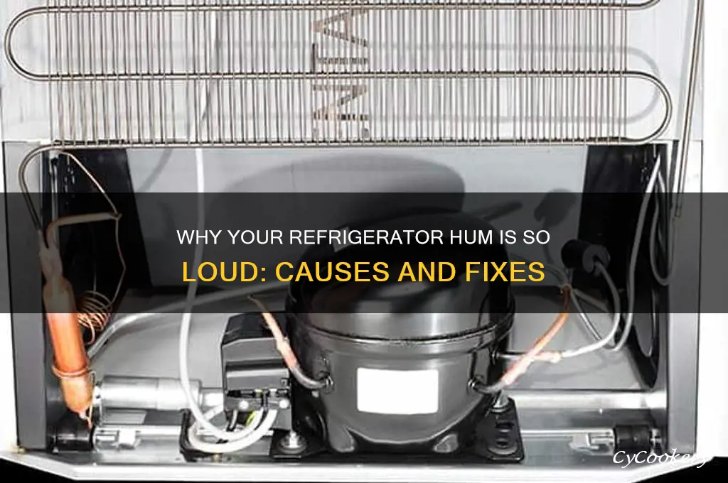 why does my refrigerator hum so loudly