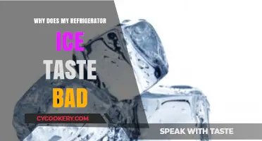 Why Does My Refrigerator Ice Taste Bad? Causes and Solutions