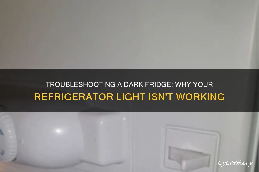 why does my refrigerator light not work