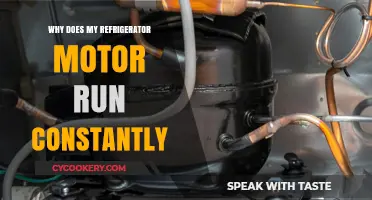 Why Your Refrigerator Motor Runs Nonstop: Common Causes and Fixes