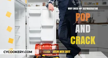 Why Your Refrigerator Pops and Cracks: Causes and Solutions Explained