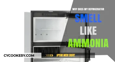 Why Your Fridge Smells Like Ammonia: Causes and Quick Fixes