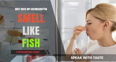 Fishy Fridge Fix: How to Eliminate That Lingering Seafood Smell