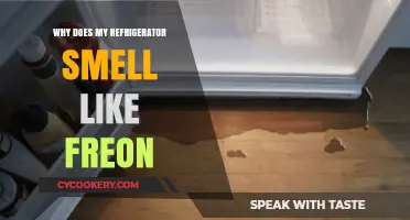 Why Your Fridge Smells Like Freon: Causes and Quick Fixes