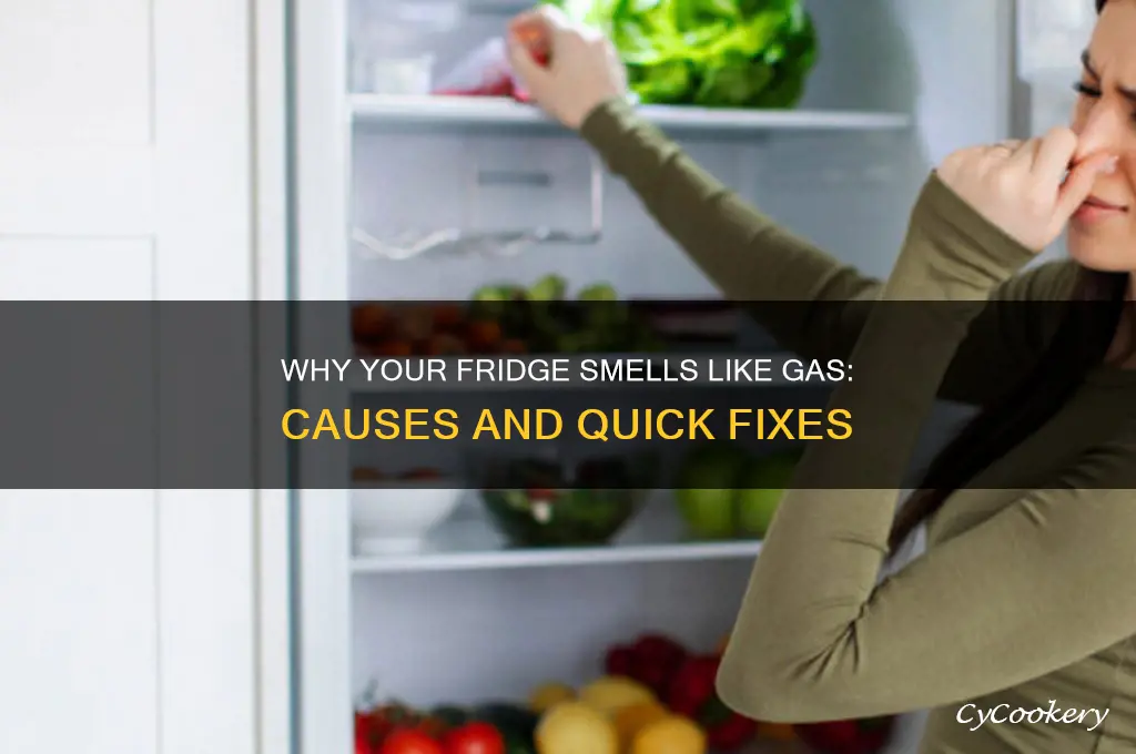 why does my refrigerator smell like gas