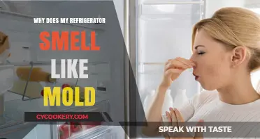 Why Your Fridge Smells Like Mold: Causes and Quick Fixes