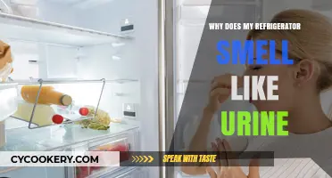 Why Your Fridge Smells Like Urine: Causes and Quick Fixes