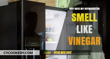 Why Your Fridge Smells Like Vinegar: Causes and Quick Fixes