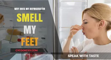 Why Your Fridge Smells Like Feet: Causes and Quick Fixes