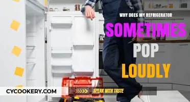 Why Your Refrigerator Pops Loudly: Causes and Quick Fixes Explained