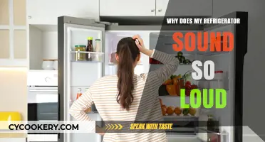 Why Is My Refrigerator So Loud? Causes and Solutions