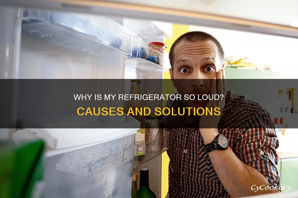 why does my refrigerator sound so loud