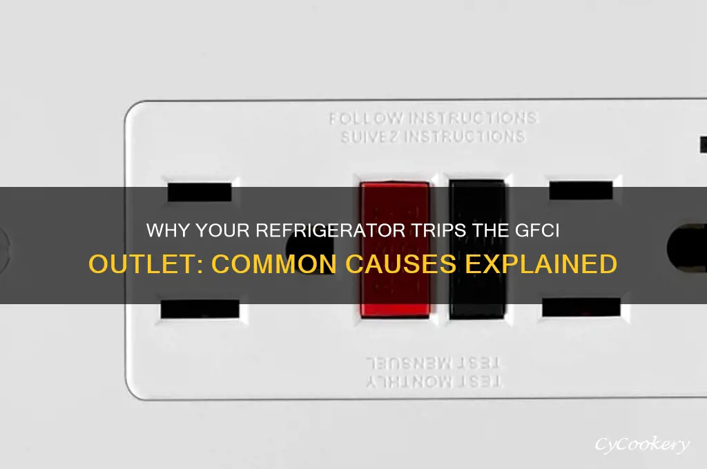 why does my refrigerator trip my gfci