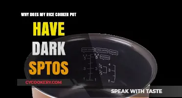 Dark Spots in Rice Cooker Pot: Causes and Solutions
