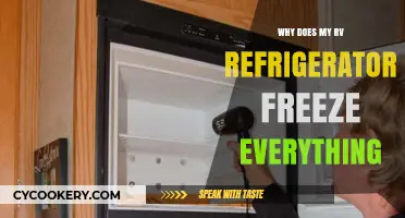 Why Your RV Fridge Freezes Food: Troubleshooting and Solutions