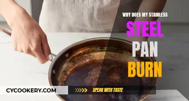 Stainless Steel Pans: Burning Mystery