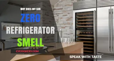 Why Does My Sub-Zero Fridge Smell? Causes and Fixes