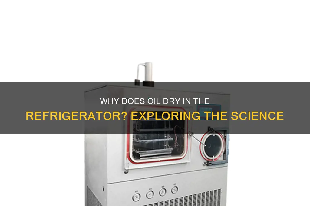 why does oil dry in the refrigerator