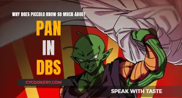 Piccolo's Pan Knowledge Explained