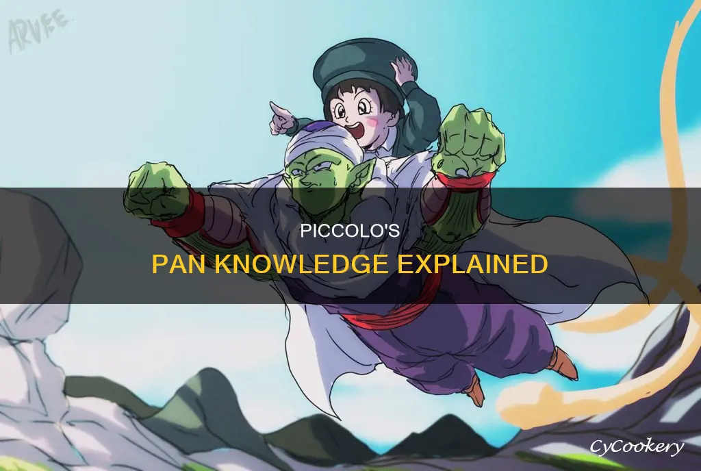 why does piccolo know so much about pan in dbs