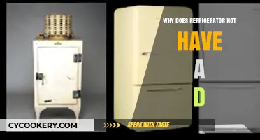Why Refrigerators Lack a 'D': Unraveling the Design Mystery