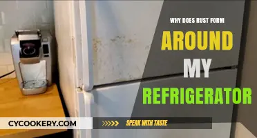Understanding Rust Formation Around Refrigerators: Causes and Prevention Tips