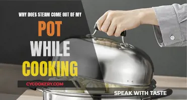 Steamy Mystery: Why Does My Cooking Pot Vaporize?