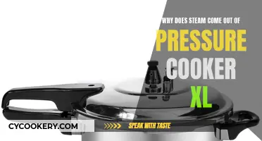 How Pressure Cooker XL Creates Steam