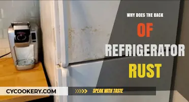 Why Refrigerator Back Panels Rust: Causes and Prevention Tips