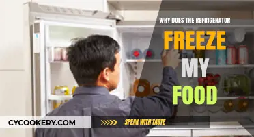 Why Your Refrigerator Freezes Food: Common Causes and Fixes